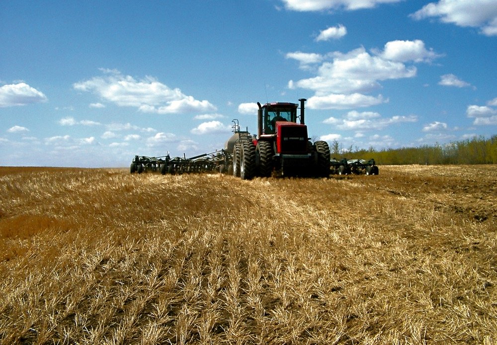 As seeding season approaches, a new seed royalty pilot is getting off the ground, to some controversy.  Photo: File
