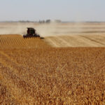 The last USDA outlook report was slightly bullish for American soybeans.
