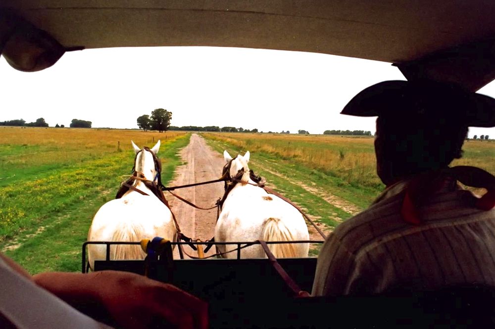 A gaucho drives a carriage through the pampas (lowland plains), a primary farming and ranching region of Argentina. (CIA.gov)
