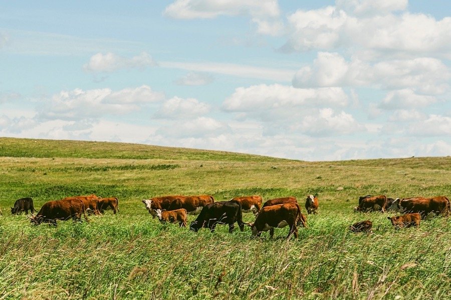 (Photo courtesy A&W Canada)
