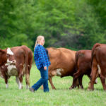 Beef farmers have been hit by reduced slaughter capacity in Ontario, hitting profitability.
