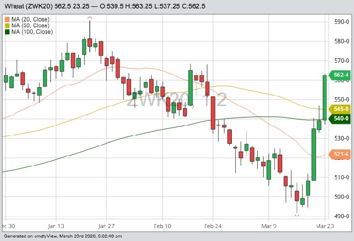 CBOT May 2020 wheat with 20-, 50- and 100-day moving averages. (Barchart)
