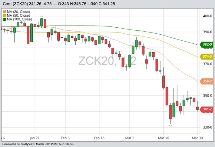 CBOT May 2020 corn with 20-, 50- and 100-day moving averages. (Barchart)
