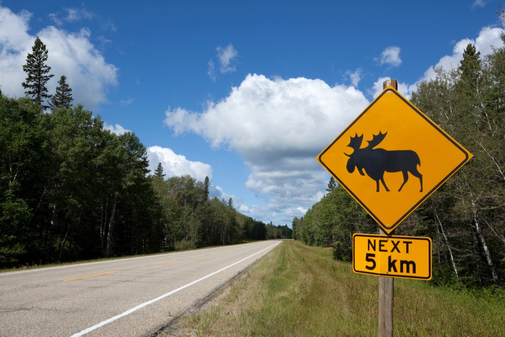Riding Mountain National Park in western Manitoba. (Mysticenergy/E+/Getty Images)
