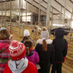 Earlier this year, fifteen girls witnessed a calf being born during a farm-tour birthday party at Joe Loewith & Sons.