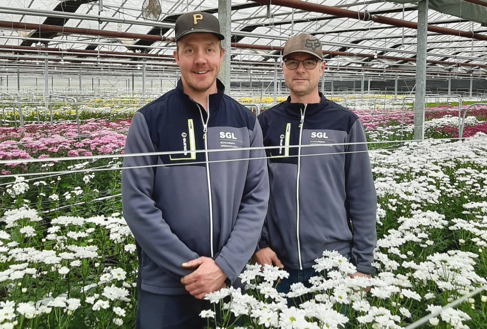 Ray Schuurman, left, and Greg Schuurman are two of four partners operating Schuurman Greenhouses in Branchton, Ont.