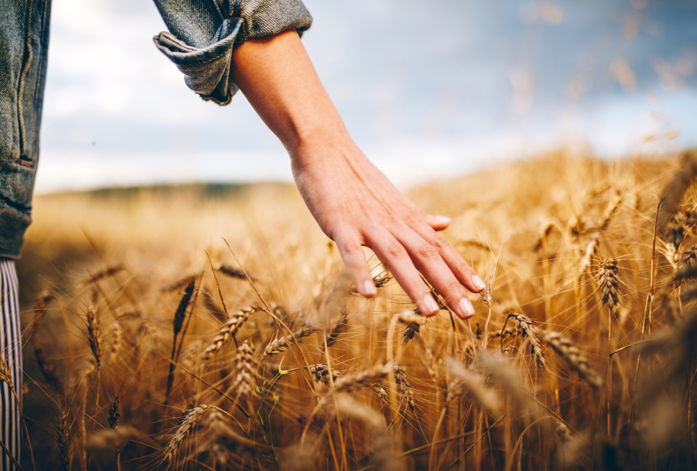 Equipment and labour costs are often the differentiator between higher and lower profitability grain farms.