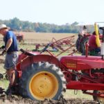 IPM 2017
