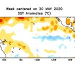 Sea surface temperature anomalies on the tropical Pacific Ocean for the week centred on May 20, 2020. (CPC.ncep.noaa.gov)