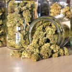 There was a $1.7 billion increase in licensed cannabis producer receipts during the first full year of legalized recreational marijuana use.