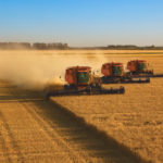 Farmers often work together to plant, maintain and harvest Foodgrains bank crops.