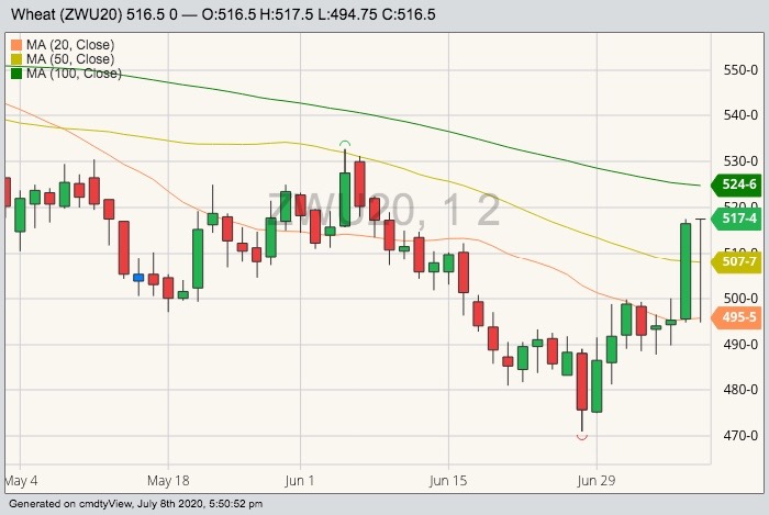 CBOT September 2020 wheat with 20-, 50- and 100-day moving averages. (Barchart)
