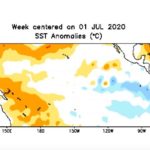 Sea surface temperature anomalies over the equatorial Pacific Ocean for the week centred on July 1, 2020. (CPC.ncep.noaa.gov)