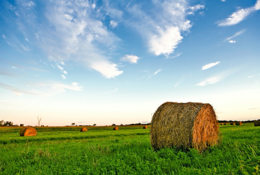 Ontario farmers have expressed concern about their farm business registration information being shared.