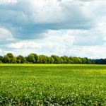Grey-Bruce Farmers’ Week has speakers for many sectors of agriculture.
