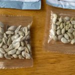 Packages of unidentified seeds which appear to have been mailed from China to U.S. postal addresses are seen at the Washington State Department of Agriculture in Olympia, Washington on July 24, 2020.