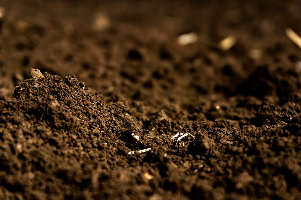 New soil test looks at microbial populations