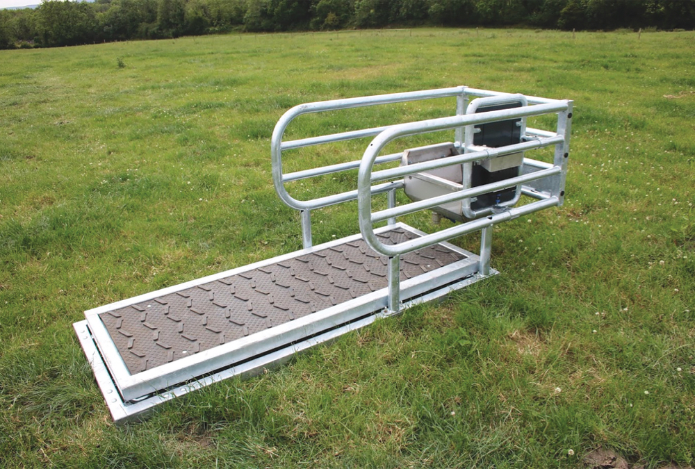 Understanding regular cattle weights allows more precise management of beef cattle.