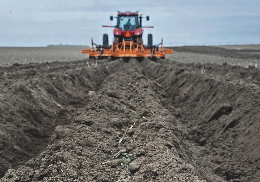McCain Foods hopes to promote alternative potato farming methods such as regenerative agriculture.