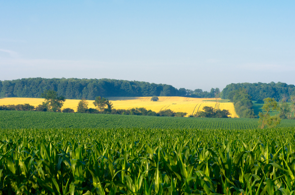 An unclear Clean Fuel Standard