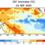 Average sea surface temperature anomalies over the equatorial Pacific Ocean for the week centred on Sept. 2, 2020 compared to 1981-2010 base period. (CPC.ncep.noaa.gov)
