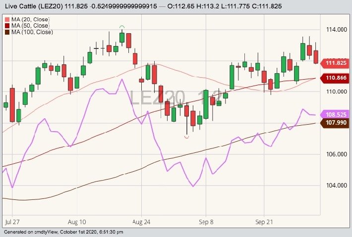 CME December 2020 live cattle (candlesticks) with 20-, 50- and 100-day moving averages and October 2020 live cattle (purple line). (Barchart)

