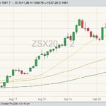 U.S. grains: Wheat, soy futures hit multi-year highs