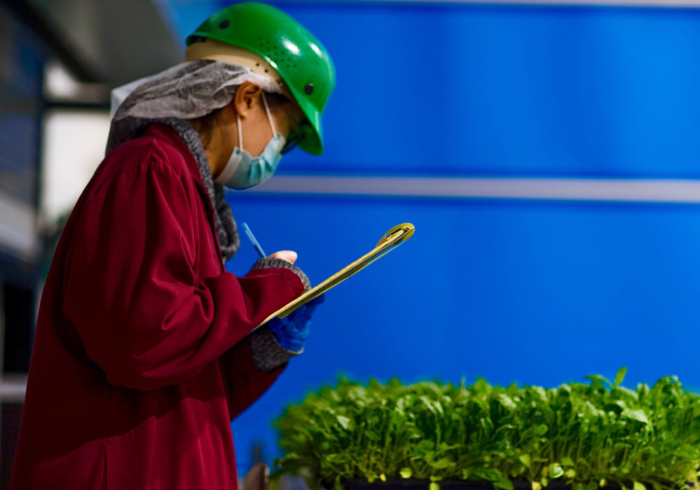 There are 50 workers employed at the GoodLeaf Farms facility in Guelph.