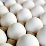 Burnbrae operates the largest solar-powered egg farm in Canada.
