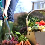 The coronavirus pandemic has seen more Canadians test their green thumbs and grow some of their own food.