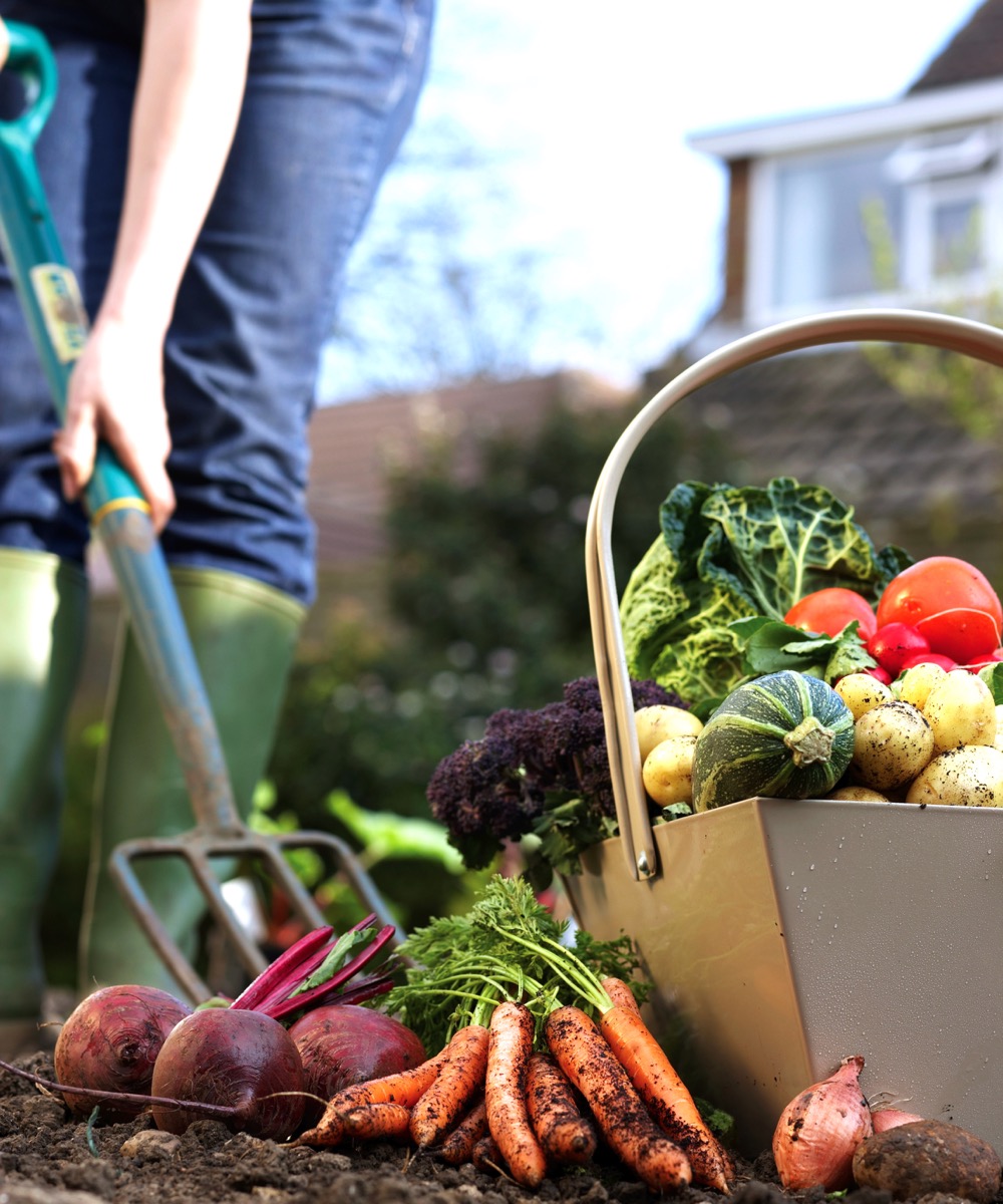 The coronavirus pandemic has seen more Canadians test their green thumbs and grow some of their own food. 