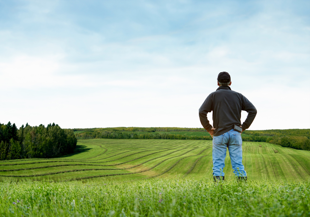 Opinion: Labour crisis is about farm security, not food security