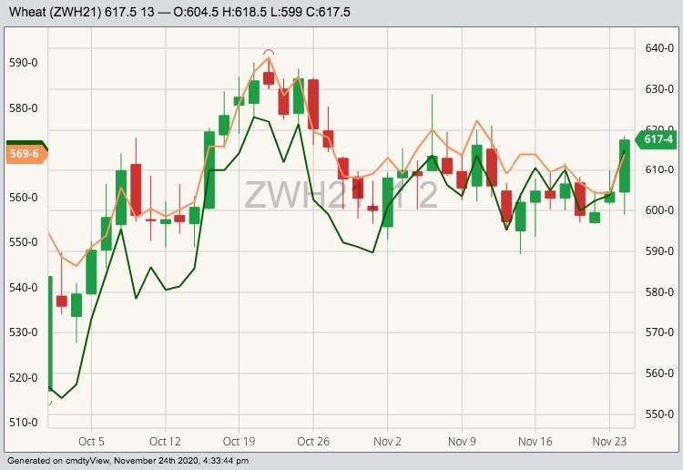 CBOT March 2021 wheat (candlesticks) with K.C. (green line) and MGEX (orange line) March 2021 wheat. (Barchart)
