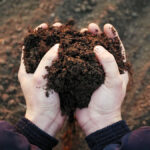 Soil fungi numbers appear to be similar in different systems, but the types of fungi change, researchers have found.