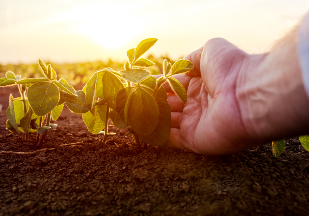Ottawa research farm focuses on technology