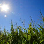 The Crop Metrics program can be focused for each crop type.