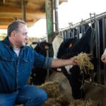 Political failings mean AgriStability likely won’t see changes until 2023.