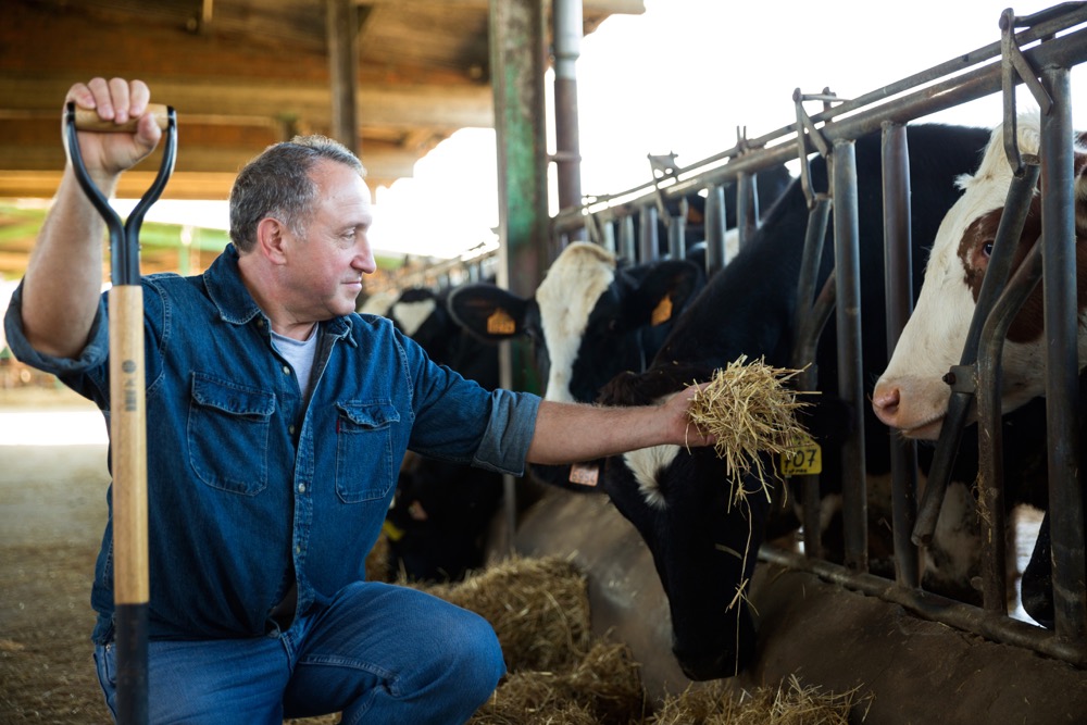 Political failings mean AgriStability likely won’t see changes until 2023.