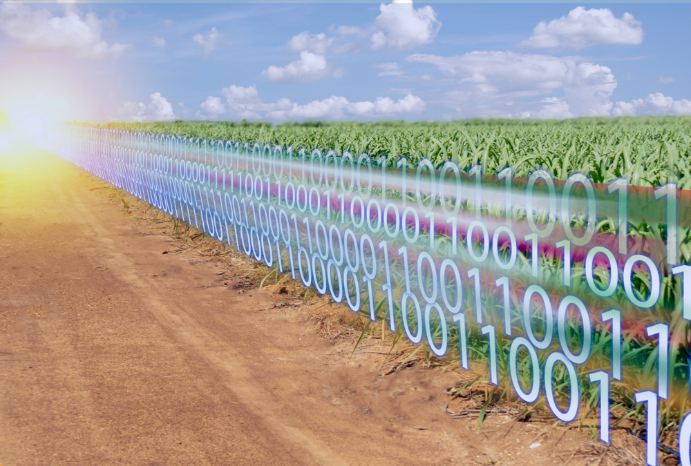 Standardizing electronic data in agriculture can help create more effective traceability systems.