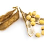 India soybean production said to be lower