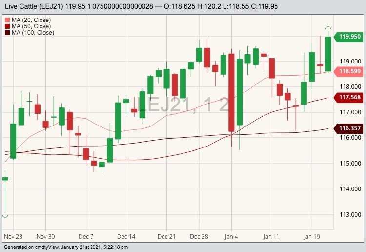 CME April live cattle with 20-, 50- and 100-day moving averages. (Barchart)
