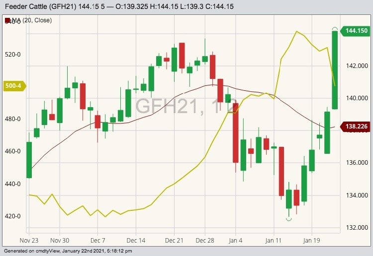 CME March 2021 feeder cattle (candlesticks) with 20-day moving average (red line) and CBOT March 2021 corn (yellow line). (Barchart)
