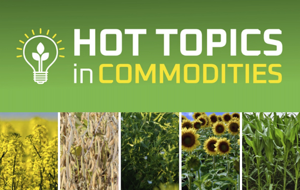 Online series covers Hot Topics in Commodities 