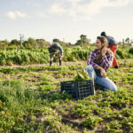 New agricultural worker safety course launched