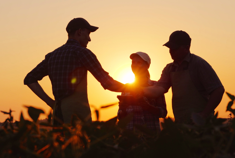Don’t assume that family members understand your wishes.