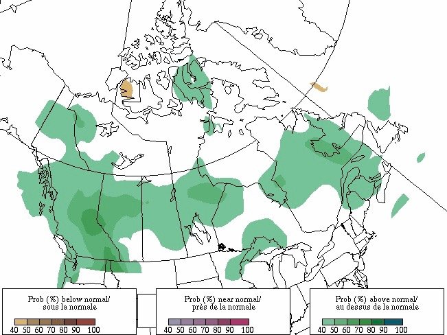 Forecast probability of precipitation above, below and near normal for the period from February through April 2021, based on three equiprobable categories from 1981-2010 climatology. Map produced Jan. 31, 2021. (Map: Environment and Climate Change Canada)

