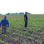 Growers check out the hills in Chad Berry’s direct-seeded potato demonstration.