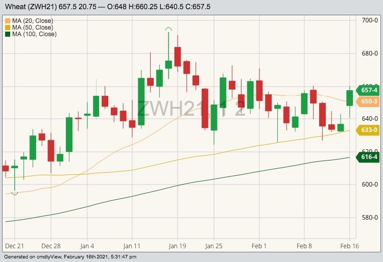 CBOT March 2021 wheat with 20-, 50- and 100-day moving averages. (Barchart)

