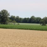 Agriculture is seen as a potential contributor to reducing greenhouse gas emissions.