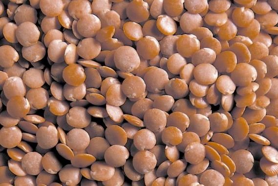 Red lentils. (Photo courtesy U.S. Dry Pea and Lentil Council)
